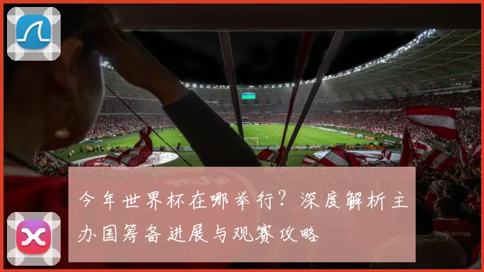 今年世界杯在哪举行？深度解析主办国筹备进展与观赛攻略